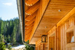 Villa Alpine Haven