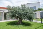 Villa Papillon