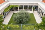 Villa Papillon