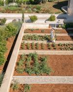 Villa Papillon