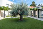 Villa Papillon